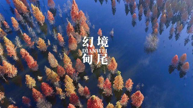 最美的校园女生75